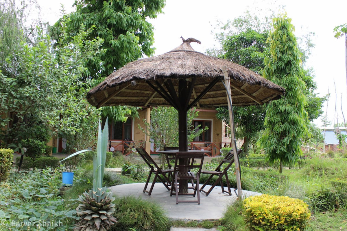 The Sitting Area in the Garden