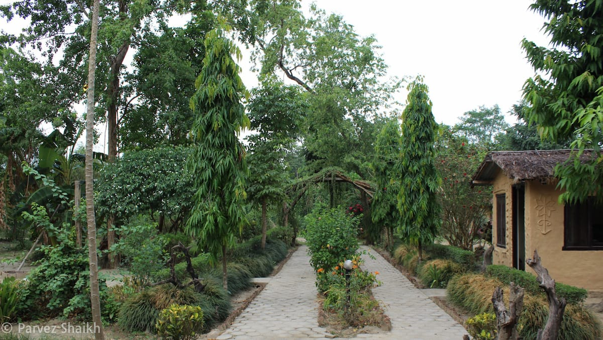 The Area Outside Bardia Wildlife Resort Nepal