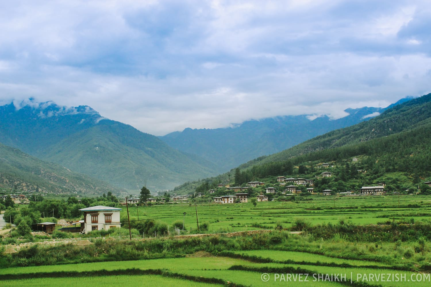 A View from My Homestay in Paro, Bhutan