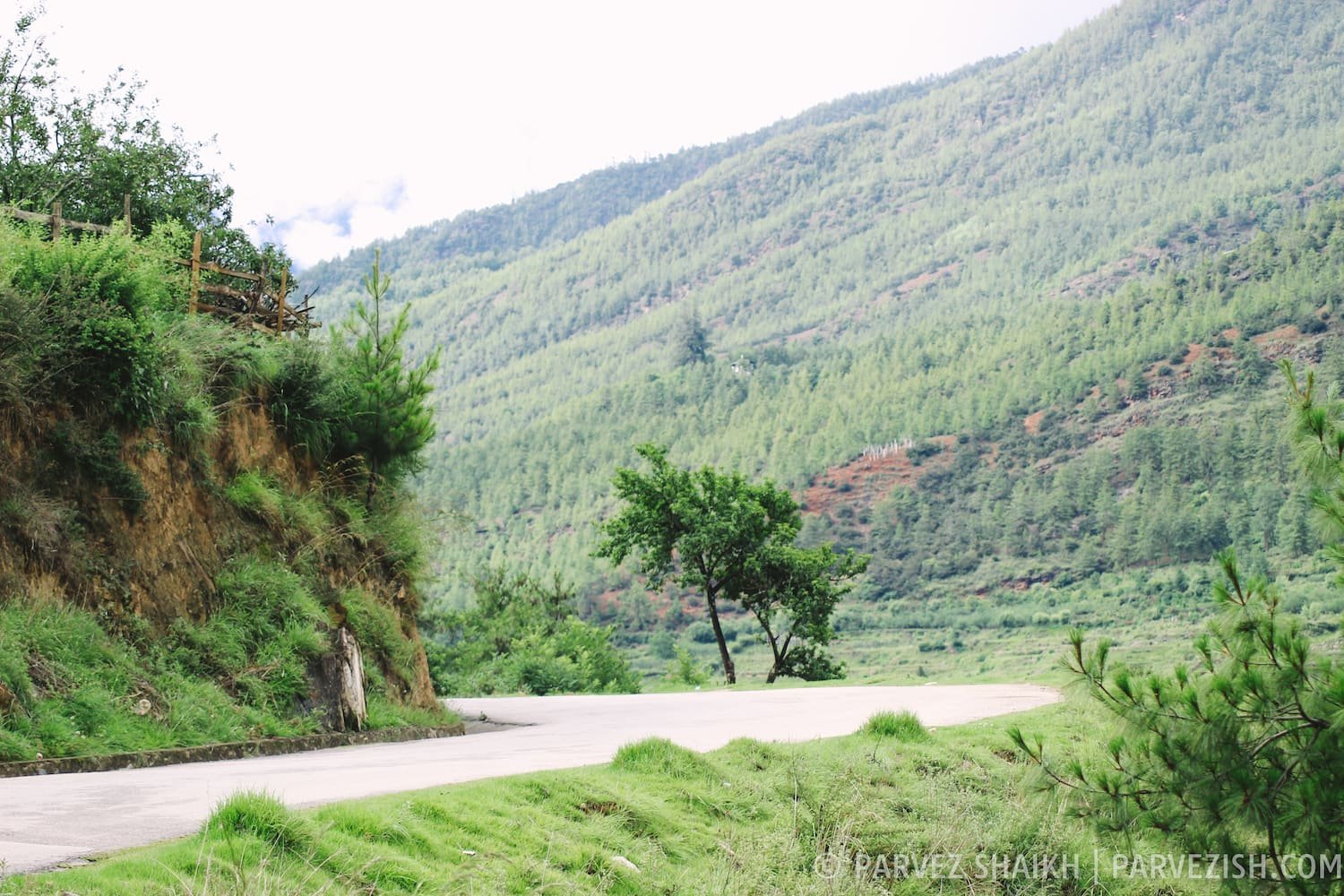 On My Way to Paro Countryside