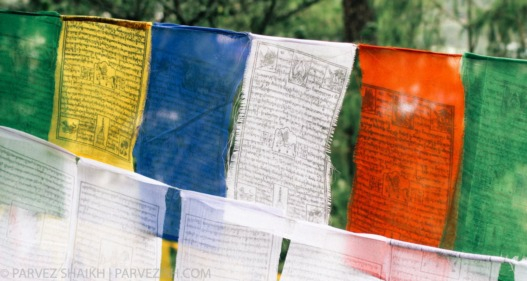 How to renew bhutan permit