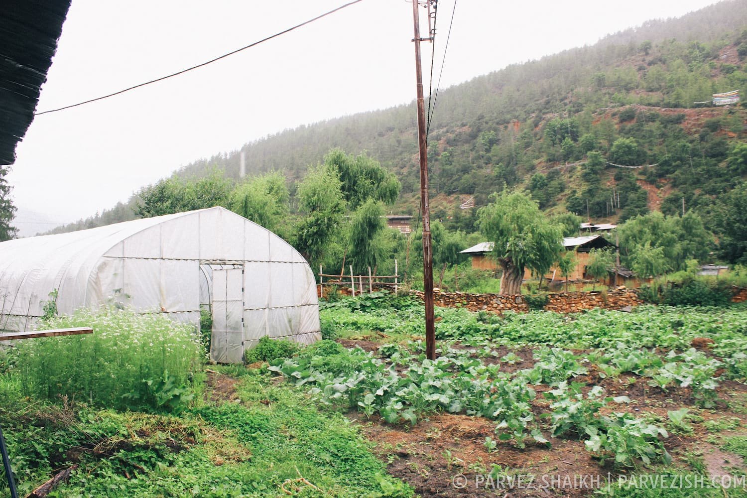 The Farm That Belongs to Tshering Farmhouse, Paro