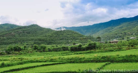 Tshering Farmhouse in Paro, Bhutan